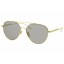 High Quality Authentic BOTTEGA Veneta BV1013SK 006 Gold Sunglasses