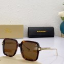 Bottega Veneta Sunglasses Top Quality BVS00022 BV36AM45