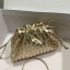 Bottega Veneta MINI POUCH 585852 gold BV681PC54